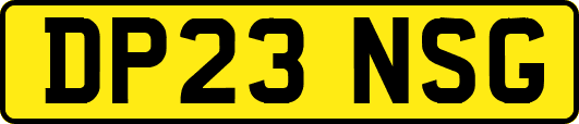 DP23NSG