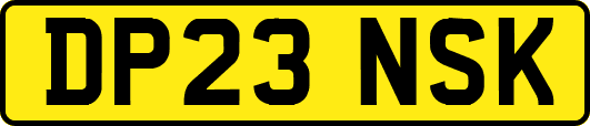 DP23NSK