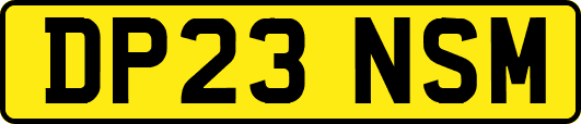 DP23NSM