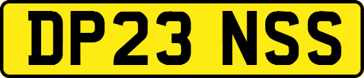 DP23NSS