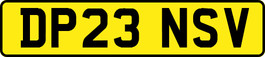 DP23NSV