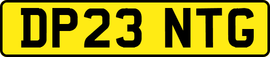 DP23NTG
