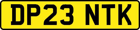 DP23NTK