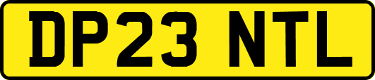 DP23NTL