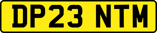 DP23NTM