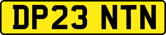 DP23NTN