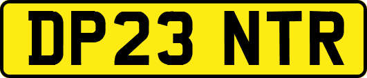 DP23NTR
