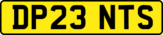 DP23NTS