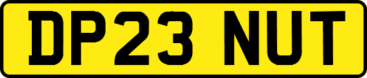 DP23NUT