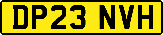 DP23NVH