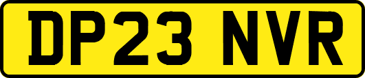 DP23NVR