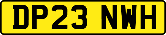 DP23NWH