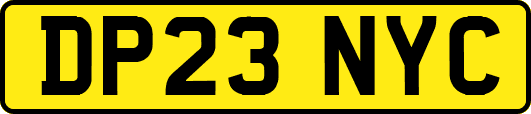 DP23NYC