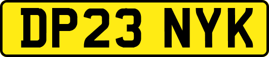 DP23NYK