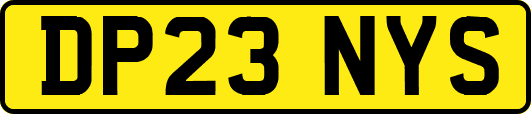 DP23NYS