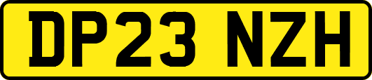 DP23NZH