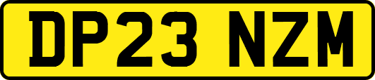 DP23NZM