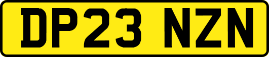 DP23NZN