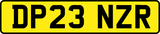 DP23NZR