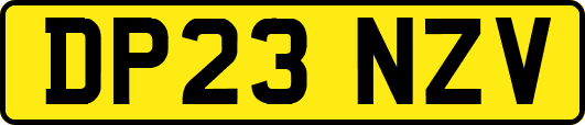 DP23NZV