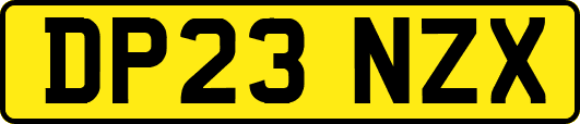 DP23NZX