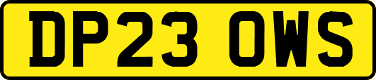 DP23OWS