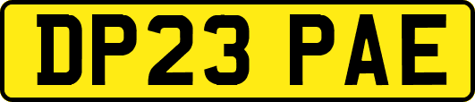 DP23PAE