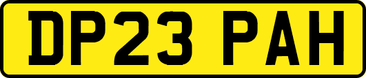 DP23PAH