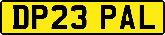 DP23PAL