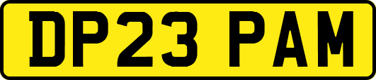 DP23PAM