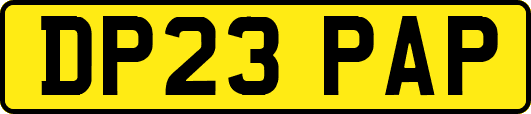 DP23PAP