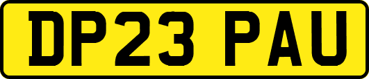 DP23PAU