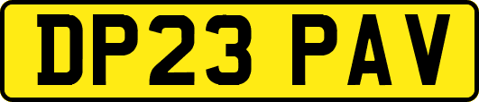DP23PAV