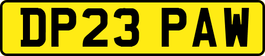 DP23PAW