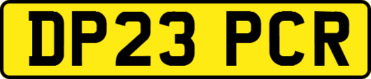 DP23PCR