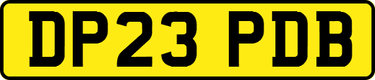 DP23PDB