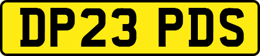 DP23PDS