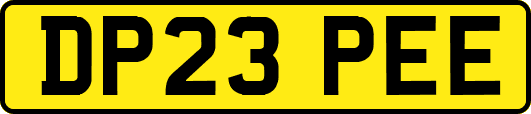 DP23PEE