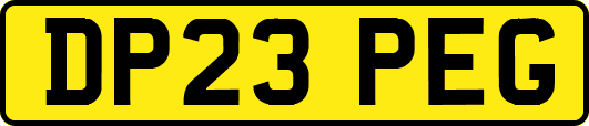 DP23PEG
