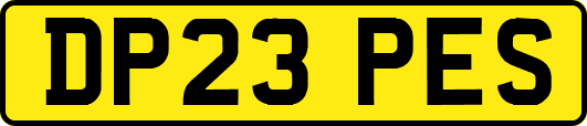 DP23PES