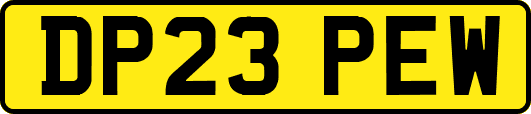 DP23PEW