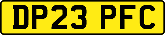 DP23PFC