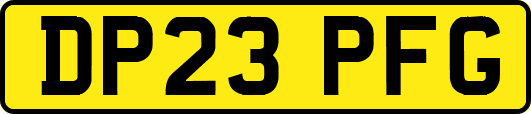 DP23PFG