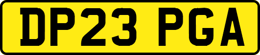 DP23PGA