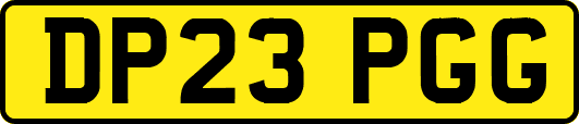 DP23PGG