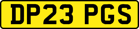 DP23PGS
