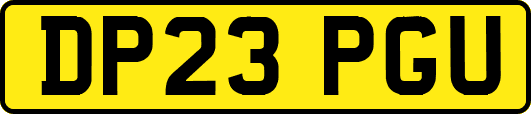 DP23PGU