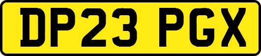 DP23PGX