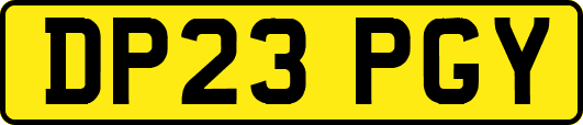 DP23PGY