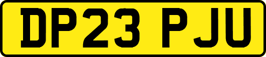 DP23PJU